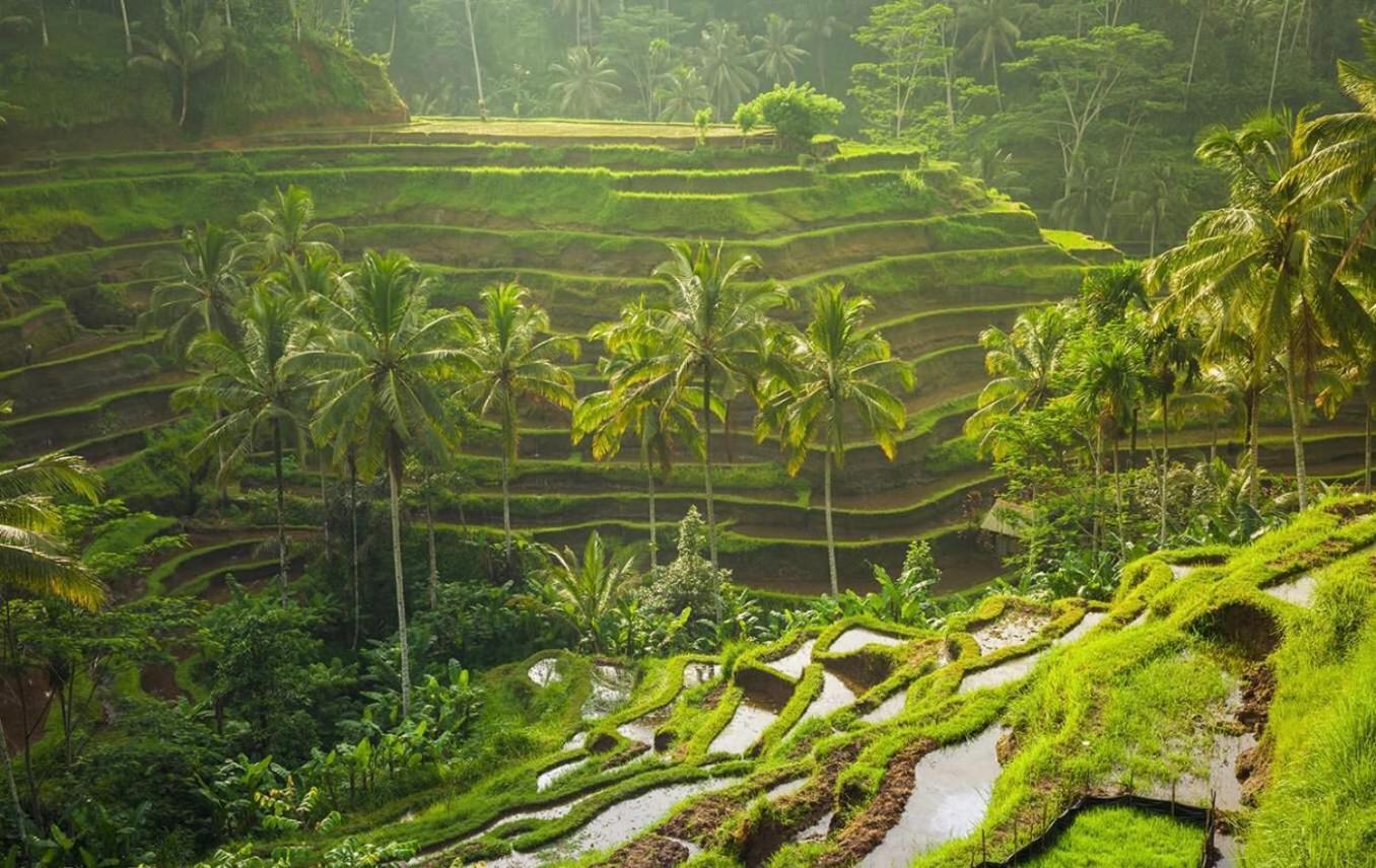 Villa Jj And Ubud (Bali)